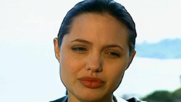Angelina Jolie von Tierschützern kritisiert