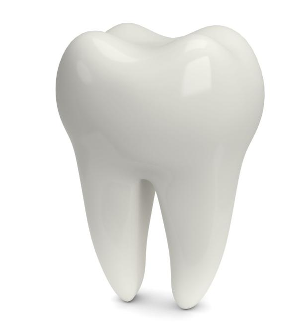 Ein einzelner, weißer Backenzahn vor einem weißen Hintergrund.