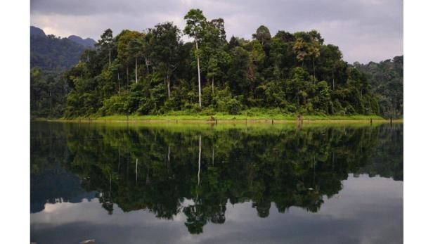 Ein bewaldeter Hügel spiegelt sich in einem ruhigen See.
