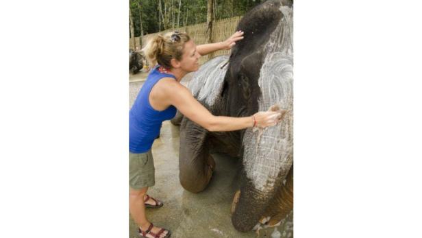 Eine Frau wäscht einen Elefanten mit Seife.