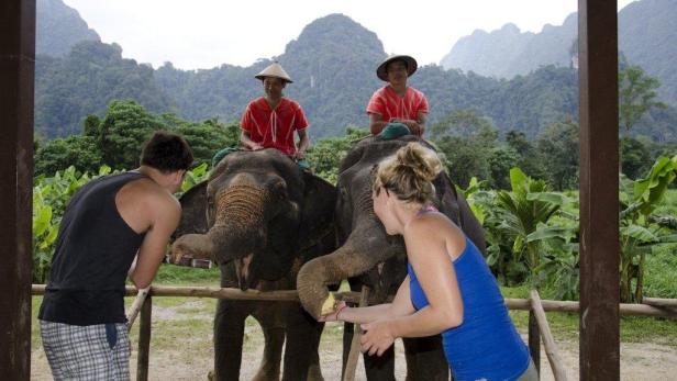 Zwei Personen füttern Elefanten in einer grünen Landschaft.