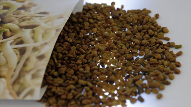 Bockshornkleesamen liegen neben einer Tüte mit Sprossen auf einem Tisch.