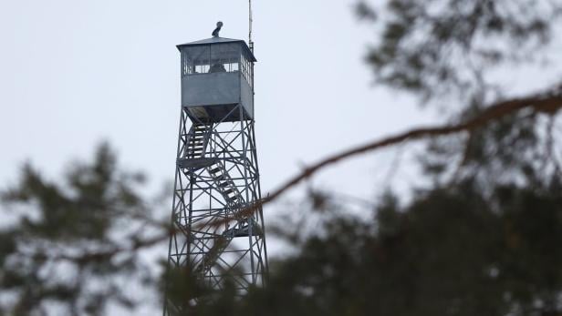 Ein stählerner Aussichtsturm mit einer Person in der Kabine, teilweise von Bäumen verdeckt.