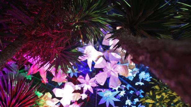 Palmen und bunte, leuchtende Dekorationen von unten gesehen.