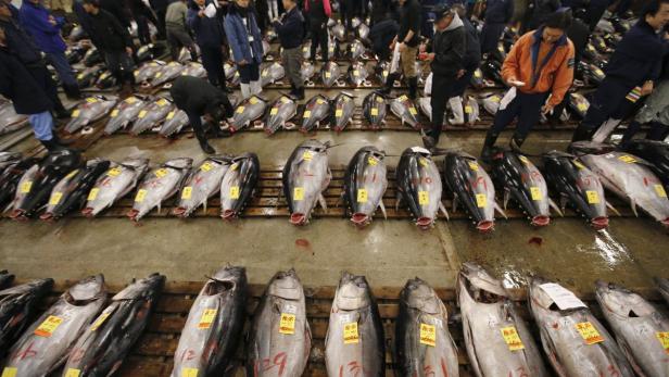 Tokio: Letzte Neujahrs-Auktion am legendären Fischmarkt