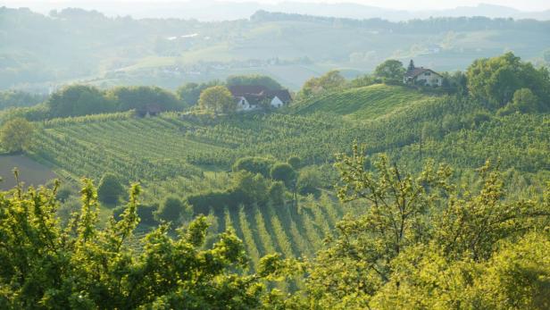 Genuss im "Garten Österreichs"