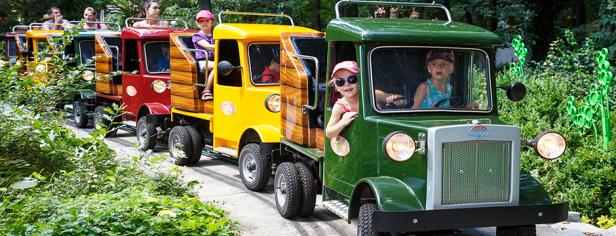 Kinder fahren mit einer bunten Miniatur-LKW-Bahn durch einen Park.