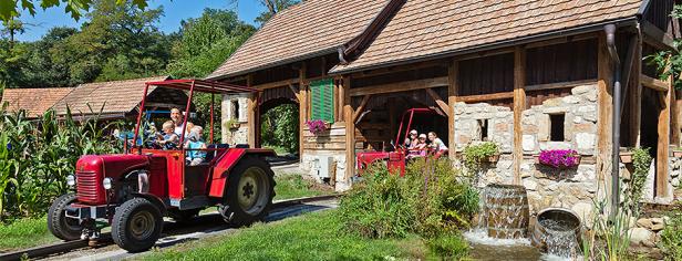 Eine Familie fährt mit einem roten Traktor auf einer Schiene durch eine ländliche Szene.