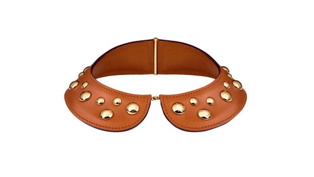 Ein braunes Halsband mit goldenen Zierknöpfen auf einem weißen Hintergrund.