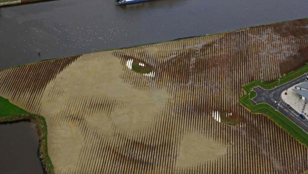 Ein Feldkunstwerk zeigt das Gesicht einer Frau aus der Vogelperspektive.