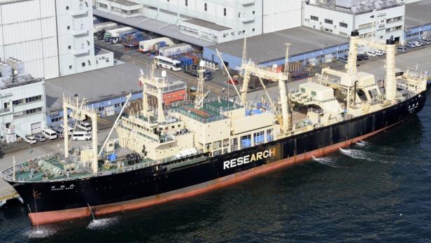 Ein Forschungsschiff liegt an einem Kai in einem Hafen.