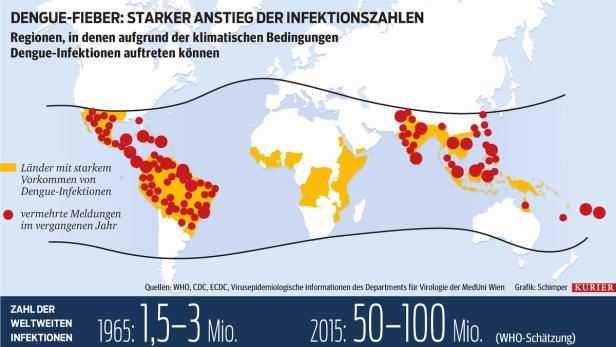 Neuer Dengue-Impfstoff: Wo er zugelassen ist