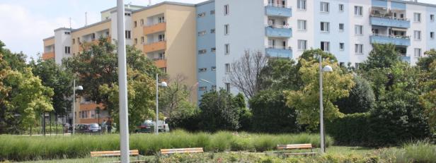 Der Seeschlachtpark in Simmering stand unter Wasser Unwetter: "Wer schnell hilft, hilft doppelt"