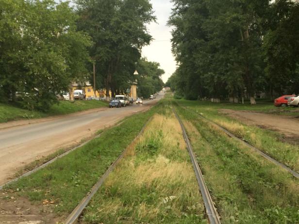 Gleise führen durch eine grüne Allee in einer Stadt.