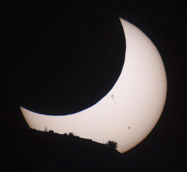 Eine partielle Sonnenfinsternis über einer dunklen Silhouette von Bäumen.