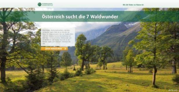 Waldwunder.at/Österreichische Bundesforste/Ovos Eine grüne Wiese mit Bäumen vor einer Bergkulisse in Österreich.