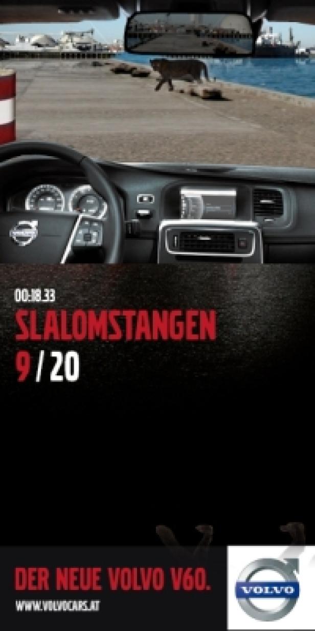 Aus dem Inneren eines Volvo V60 ist ein Puma auf einer Hafenmole zu sehen.
