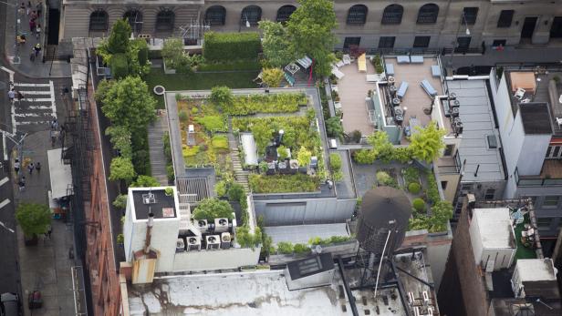Ein Blick von oben auf mehrere Dachgärten in einer Stadt.