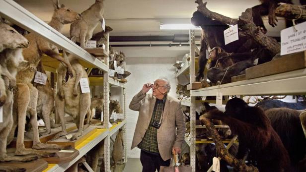 Daniel Spoerri mischt Naturhistorisches Museum auf