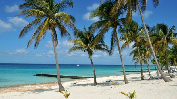 Palmen säumen einen weißen Sandstrand mit türkisfarbenem Wasser.