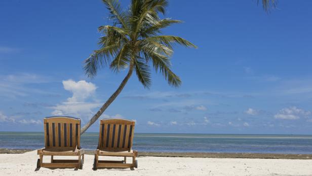 Zwei Liegestühle stehen unter einer Palme an einem tropischen Strand.