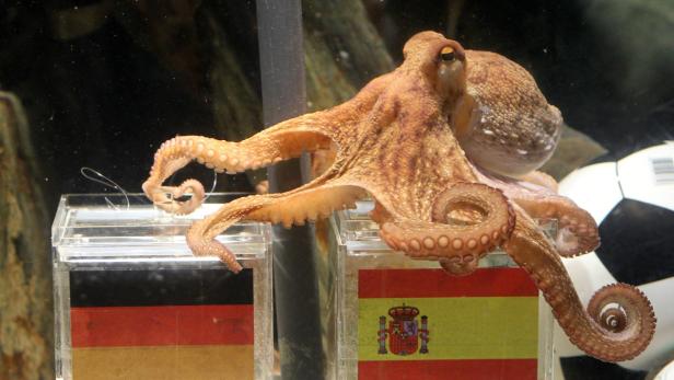 Ein Oktopus sitzt auf zwei Behältern mit den Flaggen von Deutschland und Spanien.