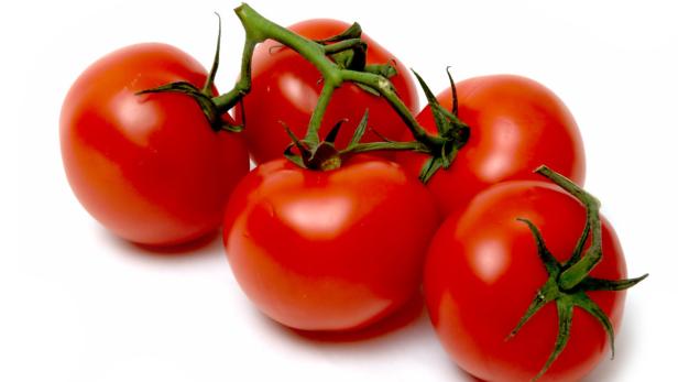 Fünf rote Tomaten mit grünen Stielen liegen auf einem weißen Hintergrund.