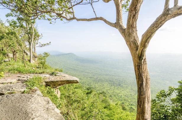 Blick von einer Klippe auf eine grüne, hügelige Landschaft.