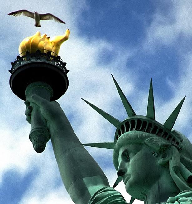 Eine Möwe fliegt über die Freiheitsstatue in New York.