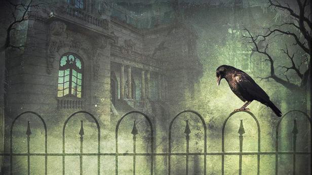 Ein Rabe sitzt auf einem Zaun vor einem alten, unheimlichen Gebäude.