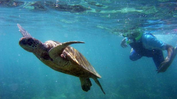 Australien schafft weltgrößten Meerespark