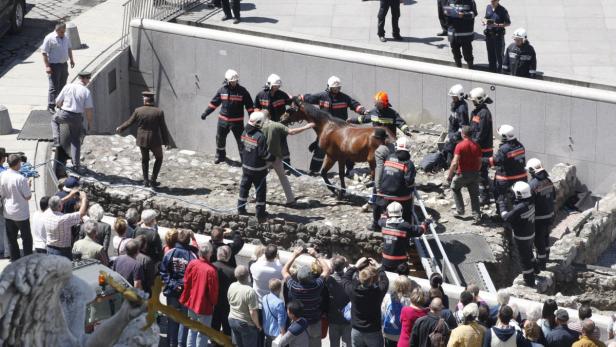 Fiakerunfall am Michaelerplatz