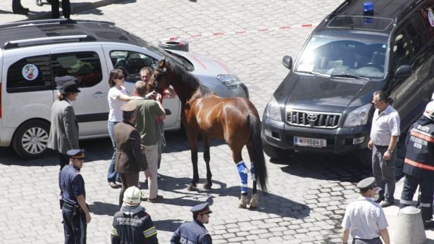 Fiakerunfall am Michaelerplatz