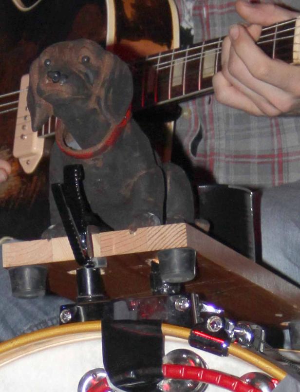 Ein Dackel mit rotem Halsband sitzt auf einem Schlagzeug, während jemand Gitarre spielt.