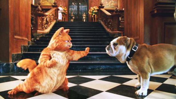 Garfield steht einem Bulldoggen auf einem schwarz-weiß karierten Boden gegenüber.