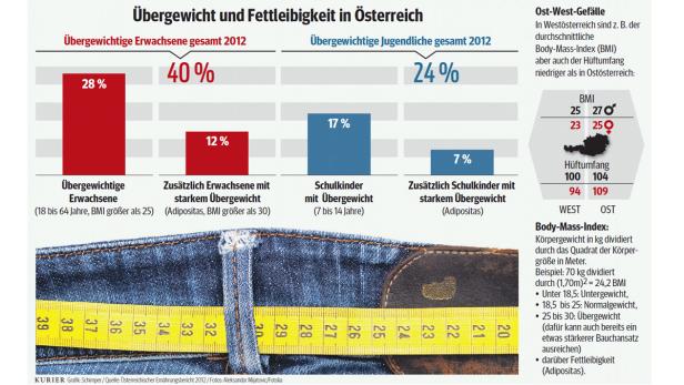 Jeder zweite Österreicher zu dick