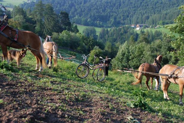 Ausstellung: Eine Radtour zur Avantgarde