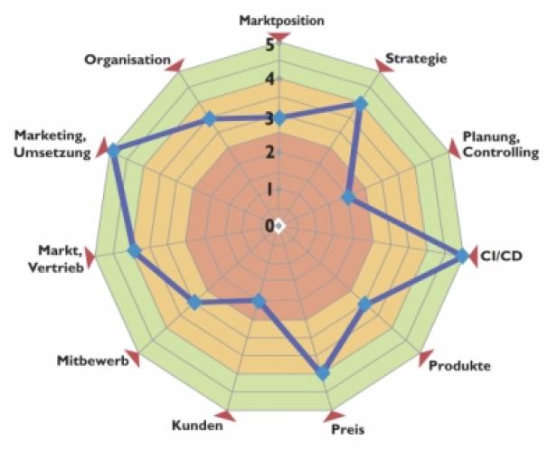 Ein Spinnendiagramm zeigt die Bewertung verschiedener Geschäftsbereiche wie Marktposition und Strategie.