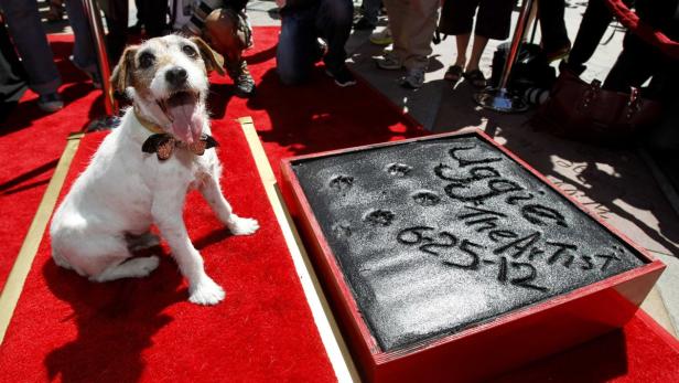 Walk of Fame-Ehre für "The Artist"-Hund
