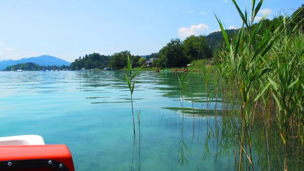 Blick vom Wasser auf Schilf, einen See und bewaldete Hügel.