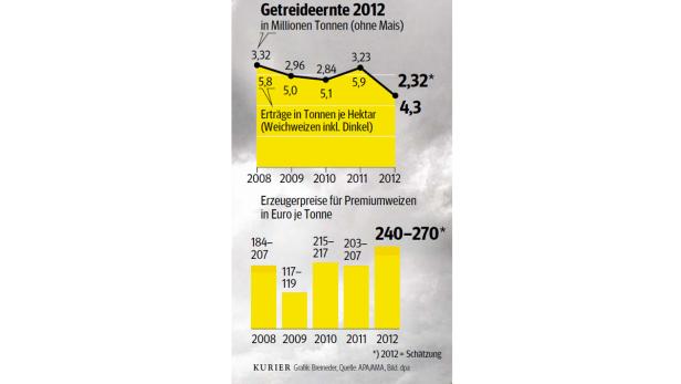 Preise steigen: Schlechteste Ernte seit 40 Jahren