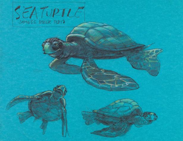 Eine Zeichnung von drei Meeresschildkröten auf blauem Hintergrund.