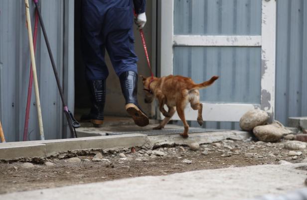 Ein Mann in Gummistiefeln betritt mit einem Hund ein Gebäude.