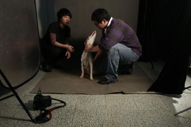 Zwei Personen posieren mit einem Hund in einem Fotostudio.