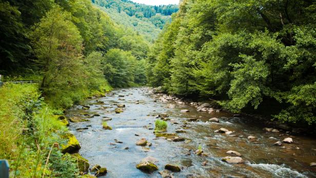 Donautal ist ein Naturparadies