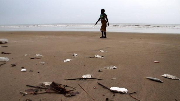Eine Person steht an einem Strand voller toter Fische und Müll.
