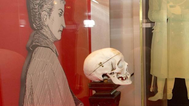 Ein Schädel steht auf einem Sockel, neben einer Zeichnung und einer Figur in einer Vitrine.