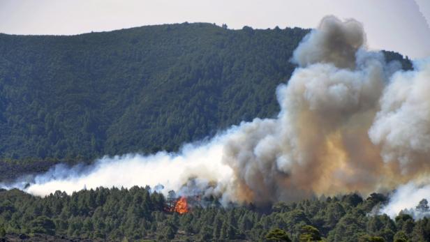 Ein Waldbrand erzeugt dichte Rauchwolken vor einem bewaldeten Hügel.