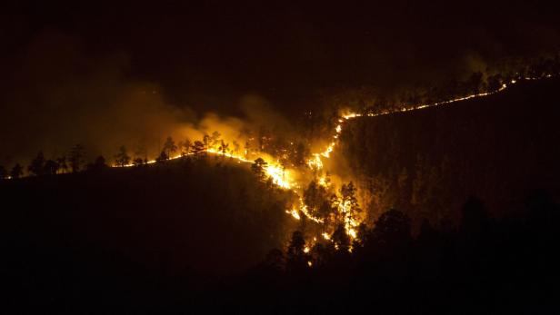 Ein Waldbrand breitet sich nachts über einen Hügel aus.