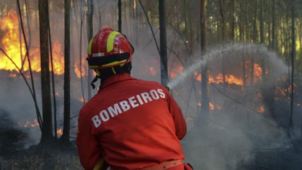 Ein Feuerwehrmann bekämpft einen Waldbrand mit einem Wasserstrahl.